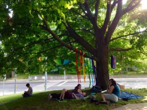 A big maple tree hung with rainbow ribbons and a quilt, with people sitting under it talking. 